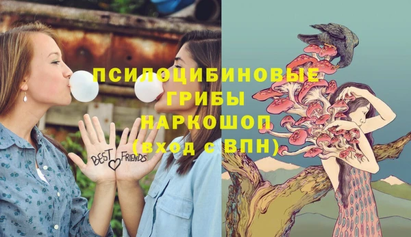 мет Арсеньев